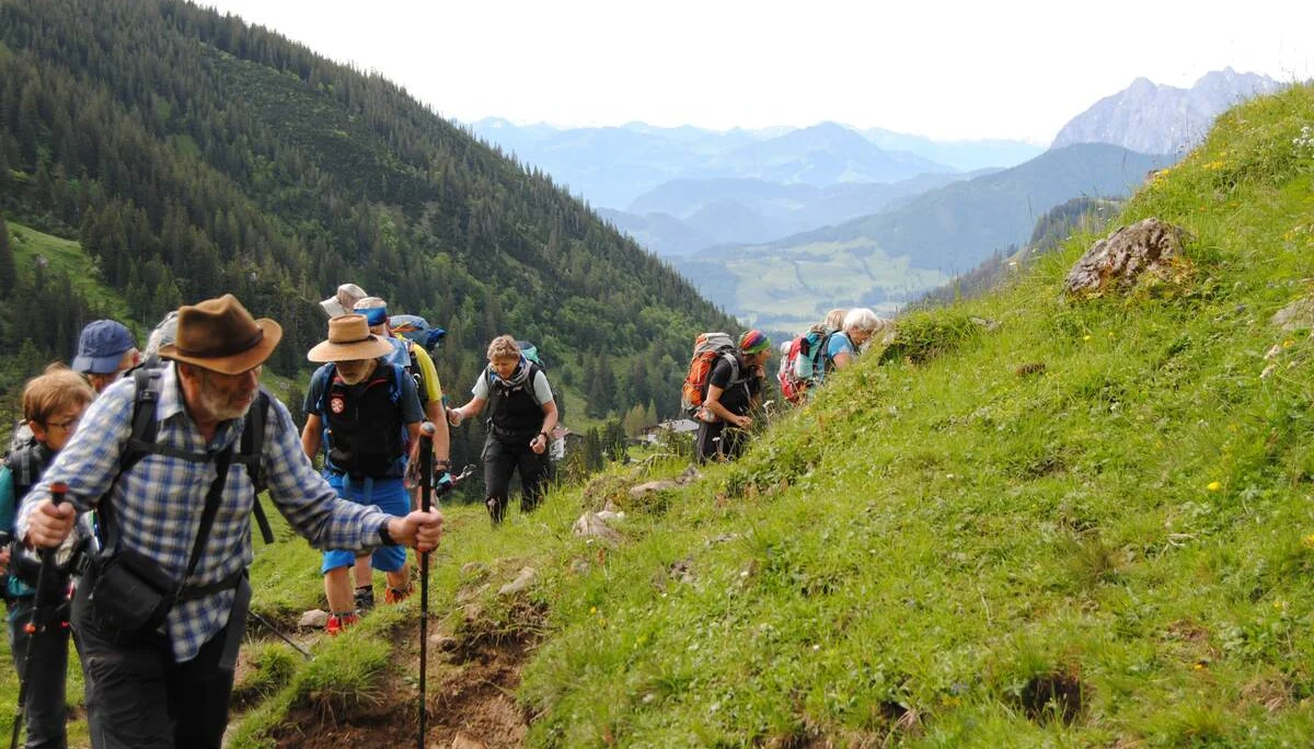 © (DAV Gangkofen) Blick auf Blumenmeer am Wegesrand