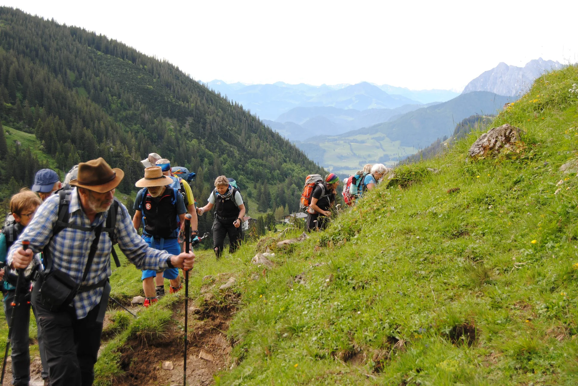 © (DAV Gangkofen) Blick auf Blumenmeer am Wegesrand