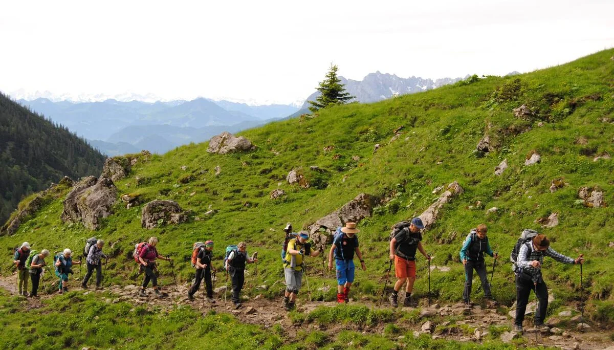 © (DAV Gangkofen) Schneebedeckte Hohe Tauern und Kaisergebirge