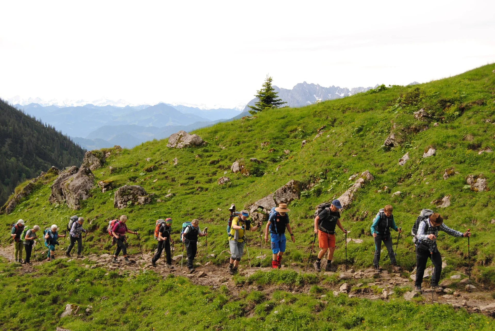 © (DAV Gangkofen) Schneebedeckte Hohe Tauern und Kaisergebirge
