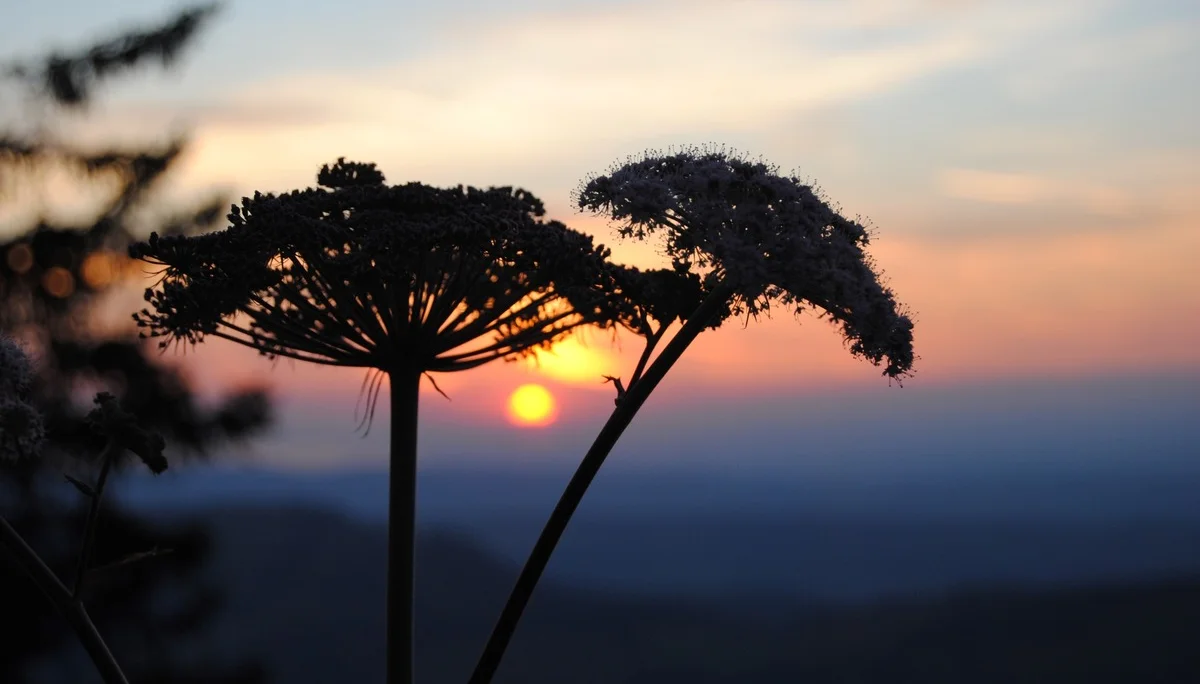 © (DAV Gangkofen) Sonnenuntergang