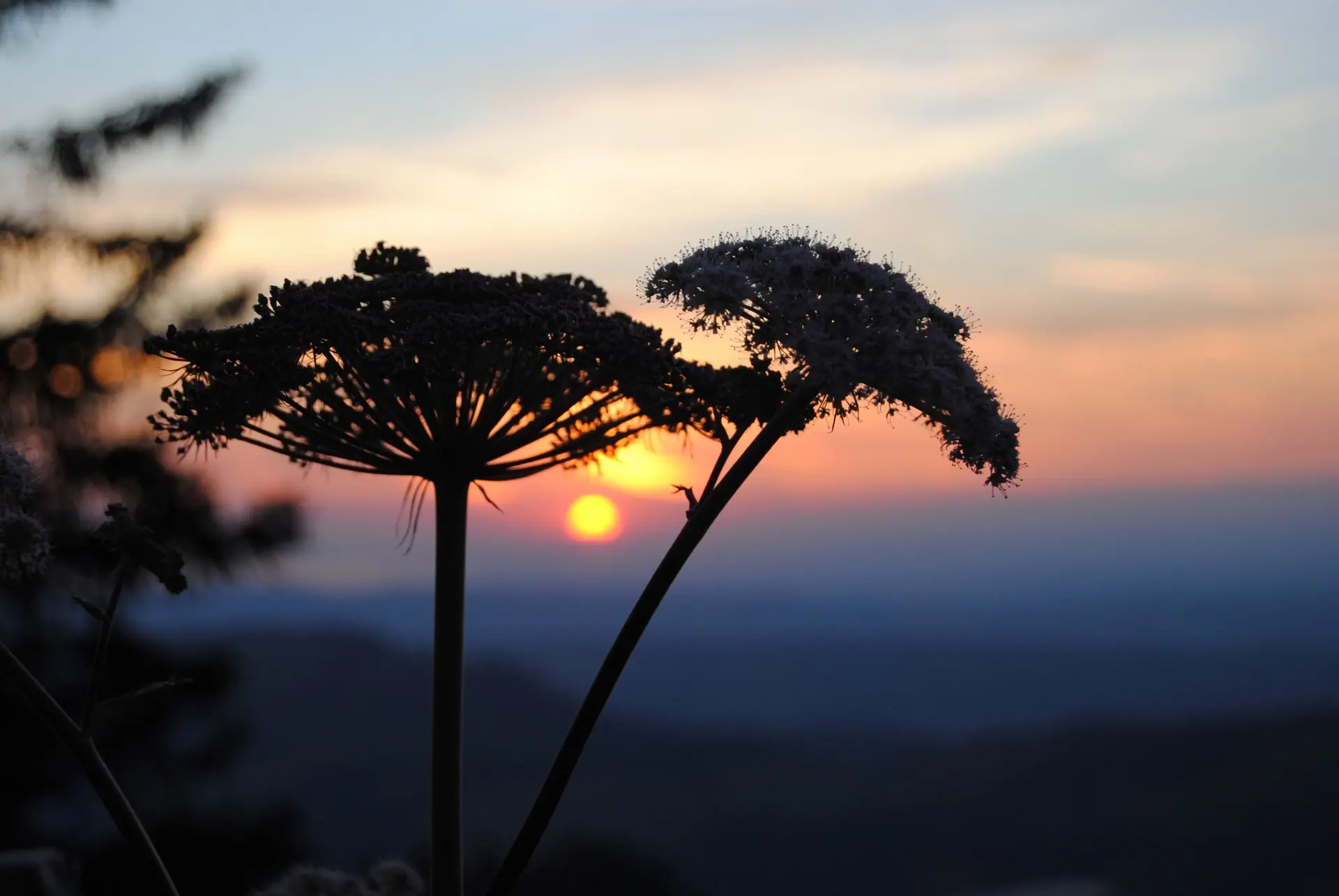 © (DAV Gangkofen) Sonnenuntergang