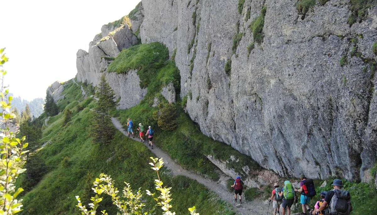 © (DAV Gangkofen) Abstieg zum Mittagberg