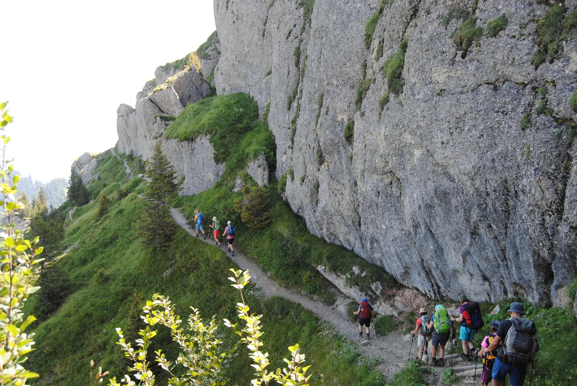 © (DAV Gangkofen) Abstieg zum Mittagberg