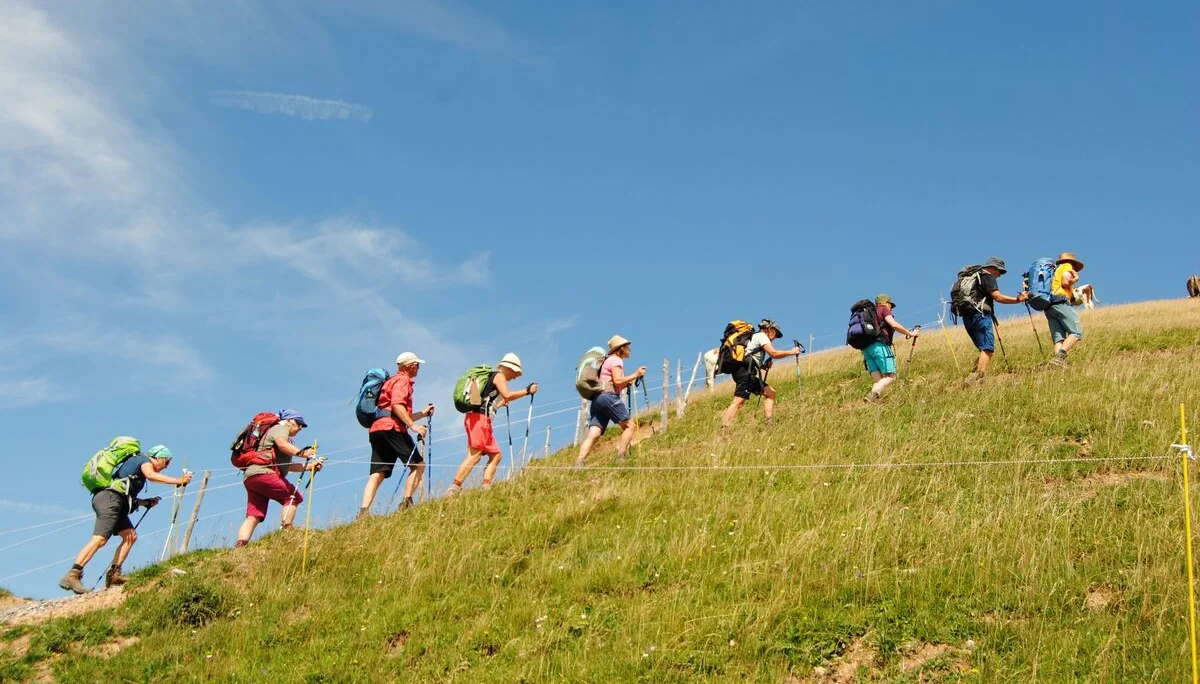 © (DAV Gangkofen) Aufstieg am Grat zum Stuiben 1749 m