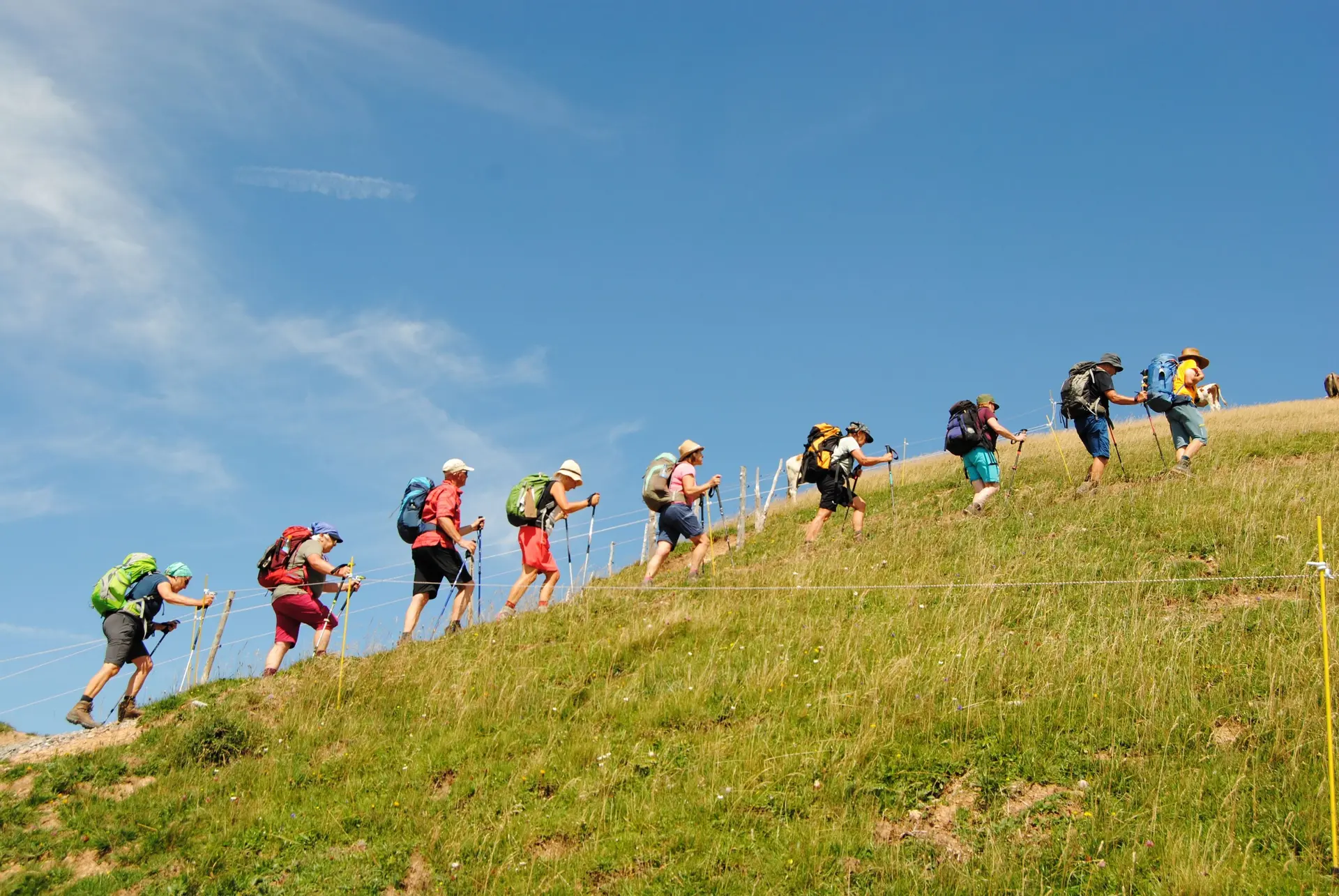 © (DAV Gangkofen) Aufstieg am Grat zum Stuiben 1749 m