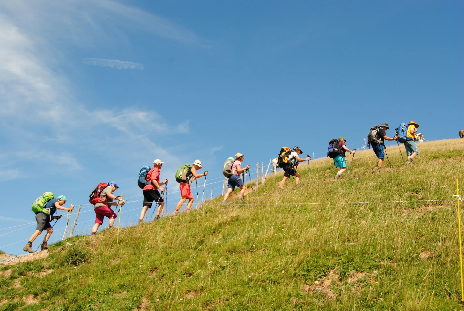 © (DAV Gangkofen) Aufstieg am Grat zum Stuiben 1749 m