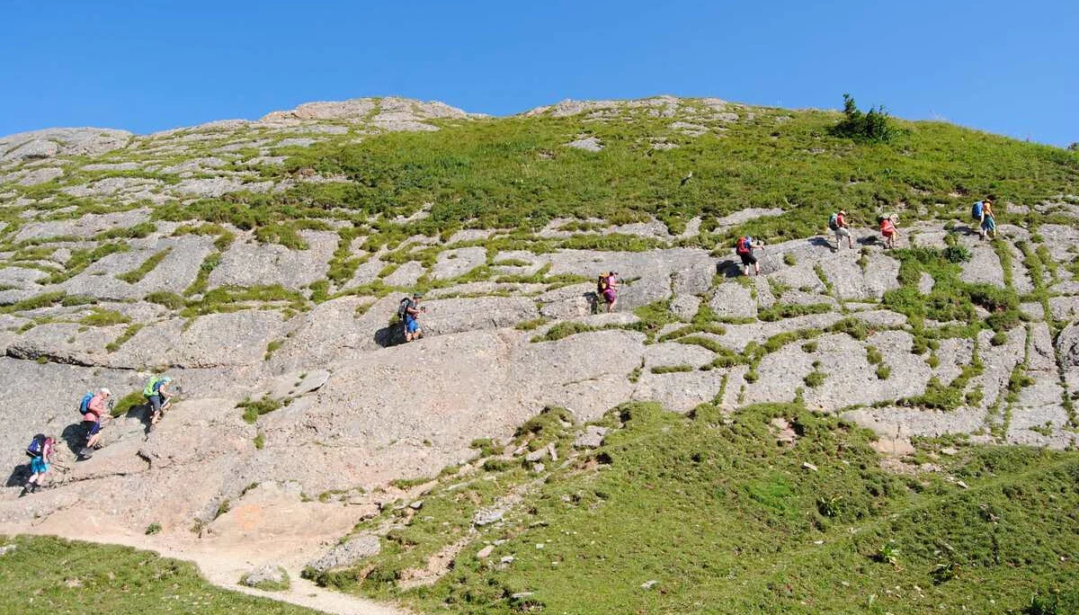 © (DAV Gangkofen) Auf dem Weg zum Bärenkopf