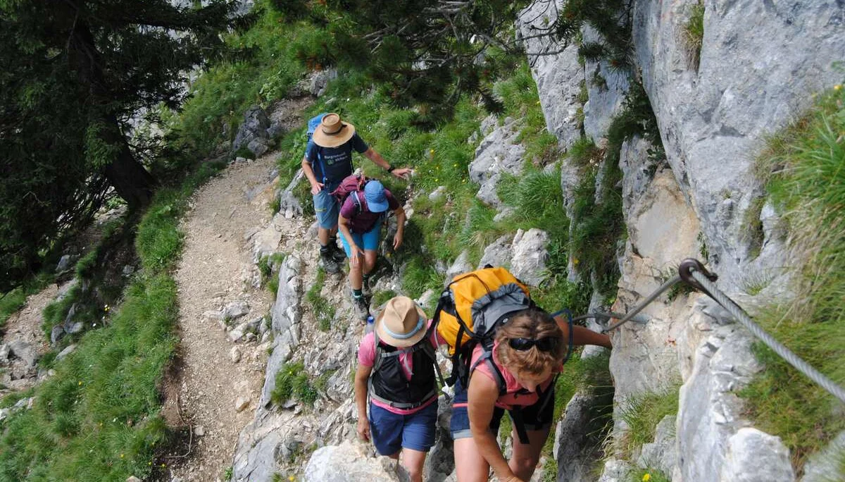 © (DAV Gangkofen) Steiler Anstieg zum Säuling