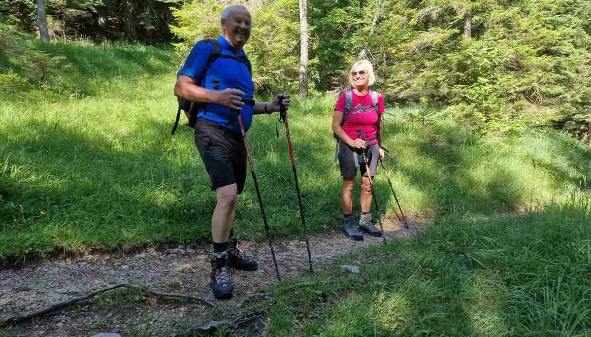 © (DAV Gangkofen) Auf dem nördlichen Teil der Schmuckensteinrunde. Angenehm schattig, bei angekündigten 30 °C