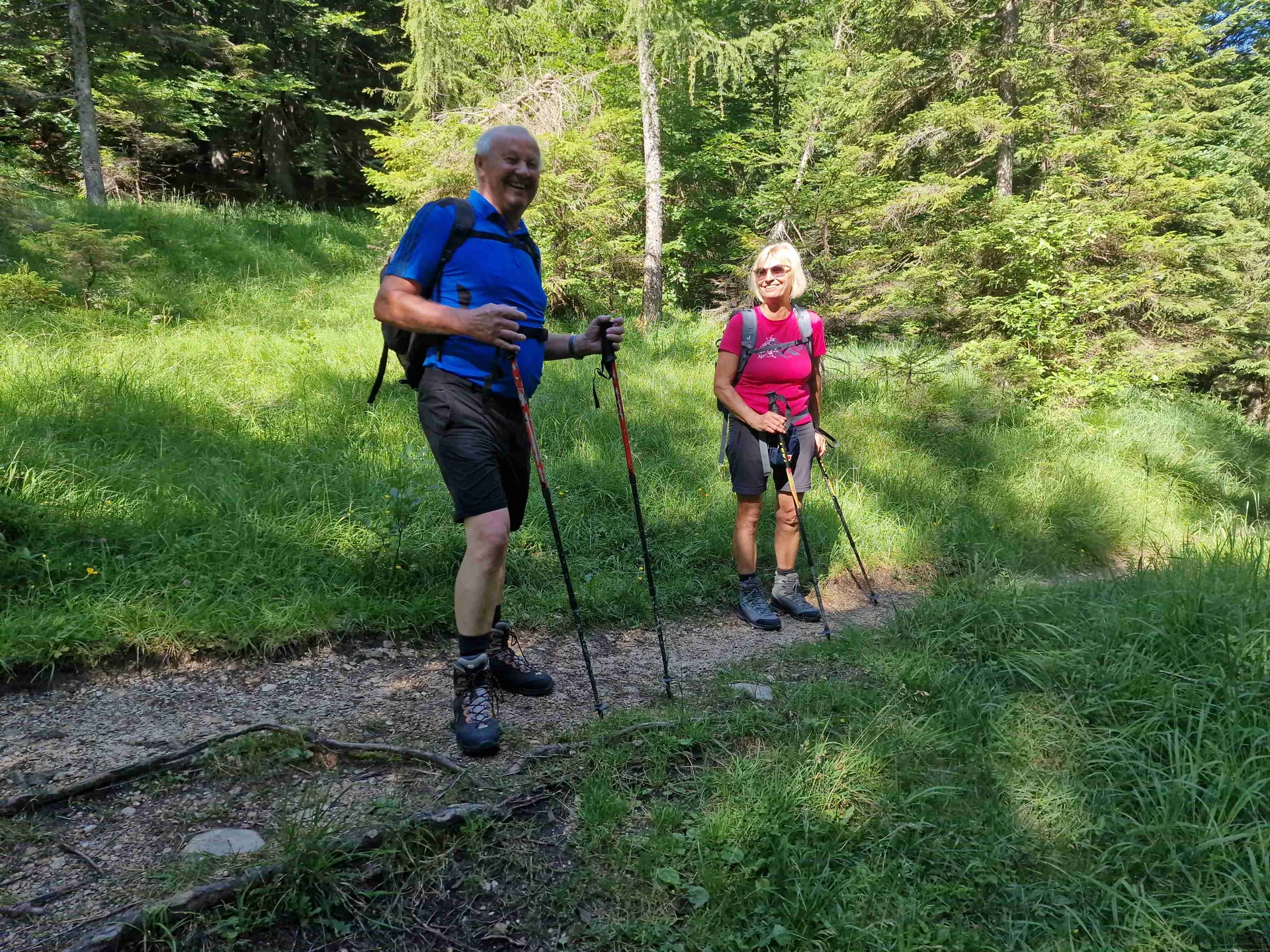 © (DAV Gangkofen) Auf dem nördlichen Teil der Schmuckensteinrunde. Angenehm schattig, bei angekündigten 30 °C
