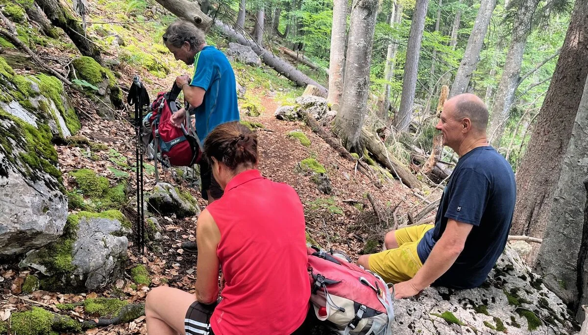 © (DAV Gangkofen) Schwammerl gesucht und gefunden