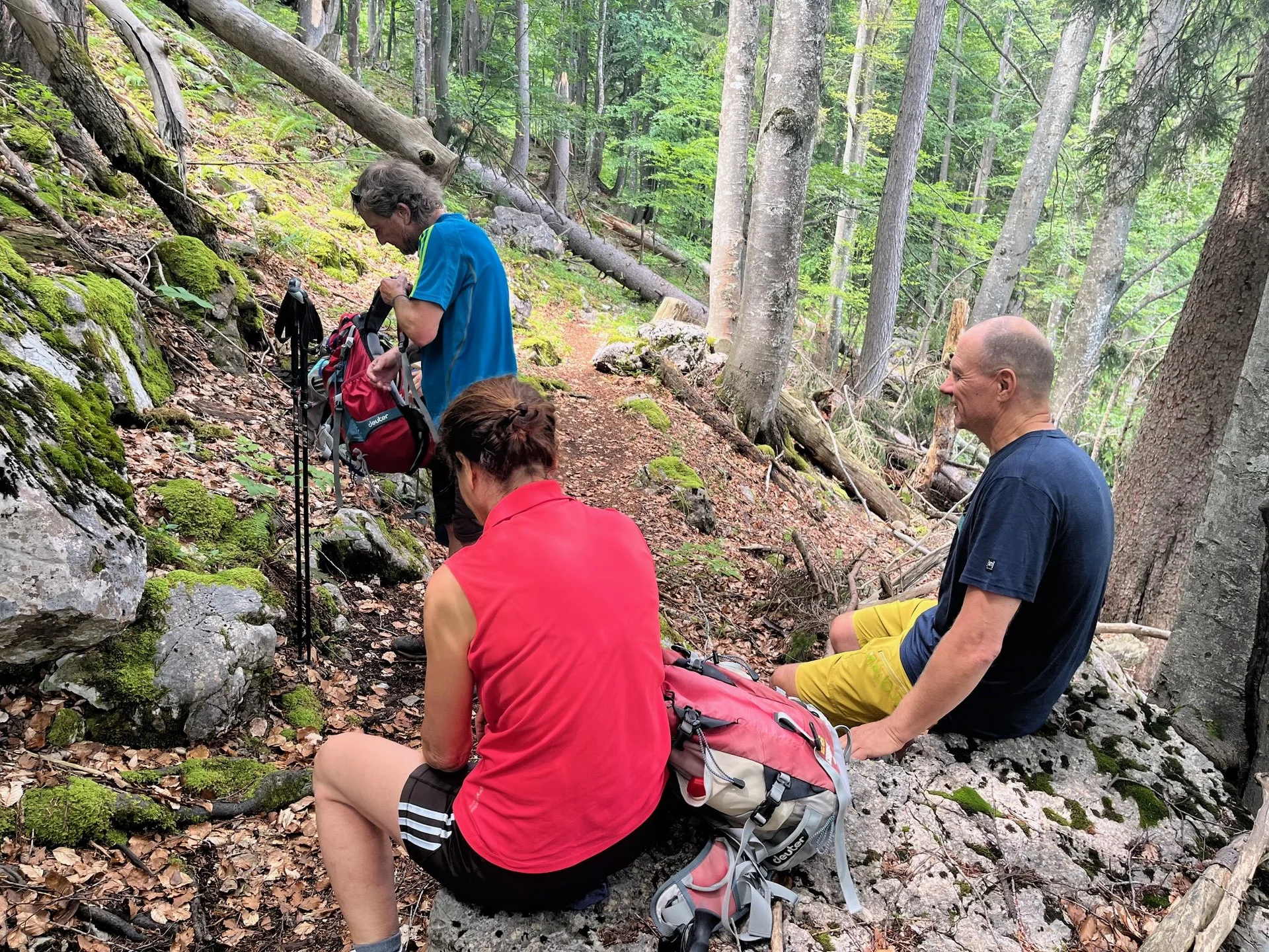 © (DAV Gangkofen) Schwammerl gesucht und gefunden