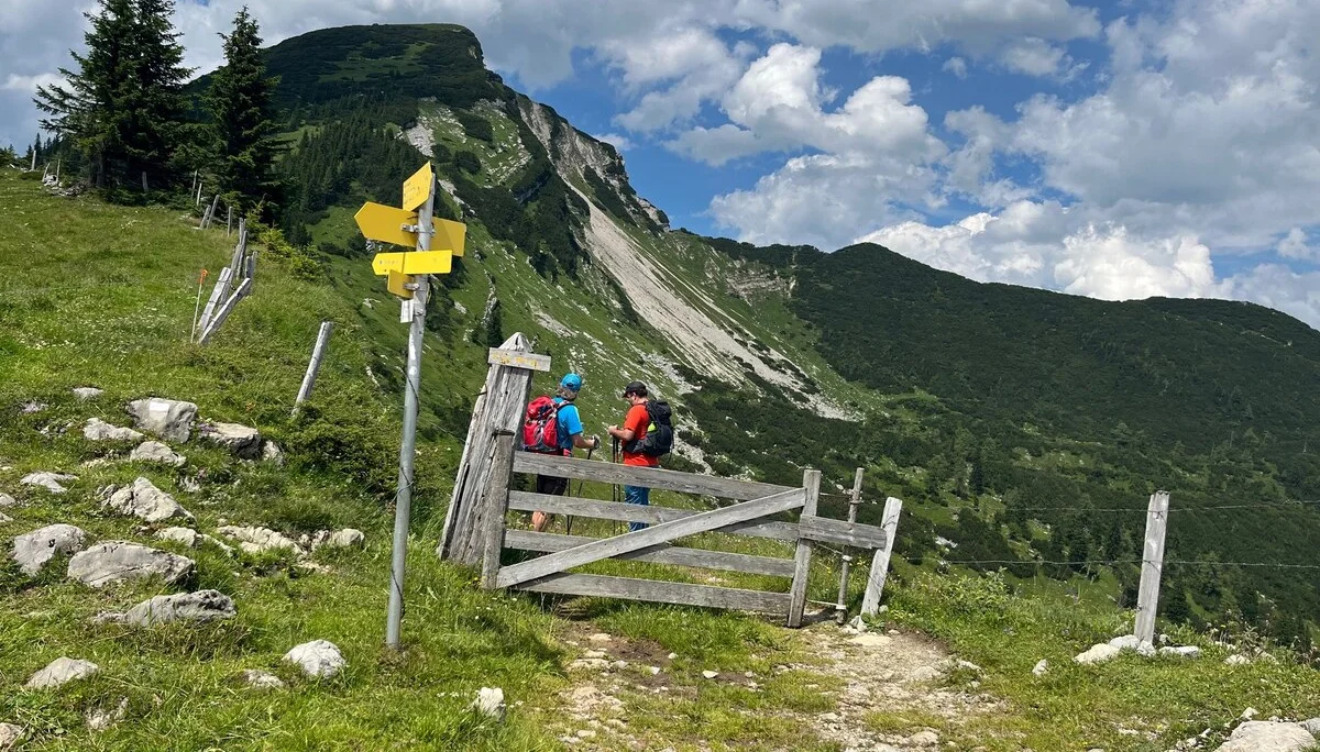 © (DAV Gangkofen) Roßkarsattel, Blick Richtung Sonntagshorn
