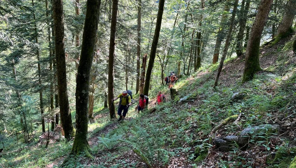 © (DAV Gangkofen) Aufstieg zum Roßkarsattel