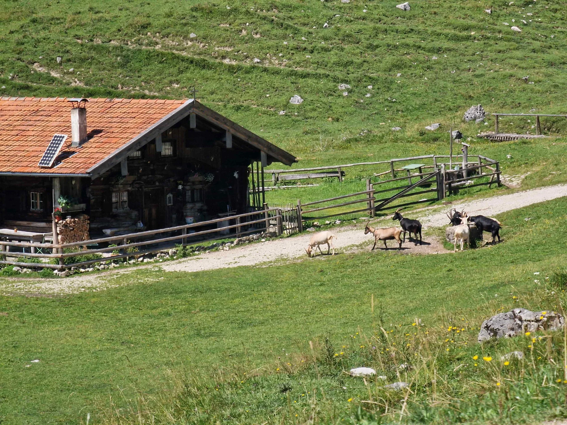© (DAV Gangkofen) Pause mit Blick auf eine der Arzmoosalmen