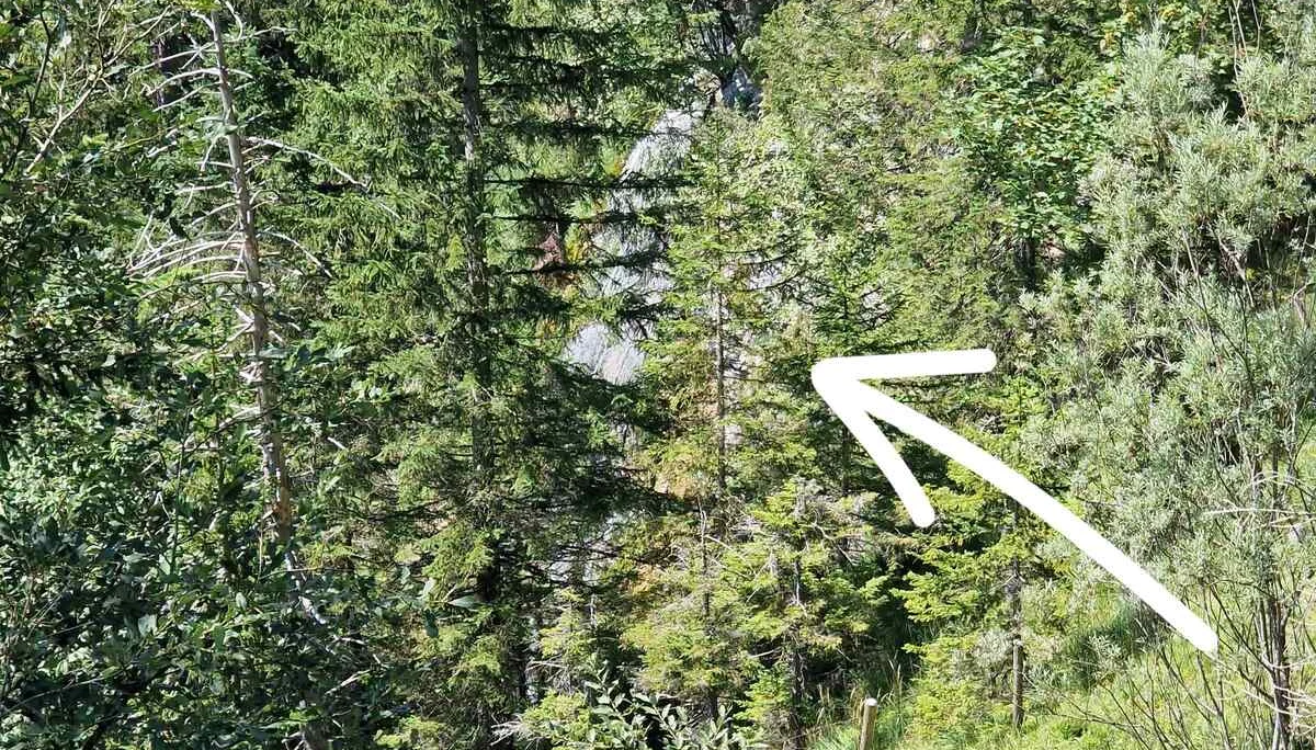 © (DAV Gangkofen) Arzmoos Wasserfall im August