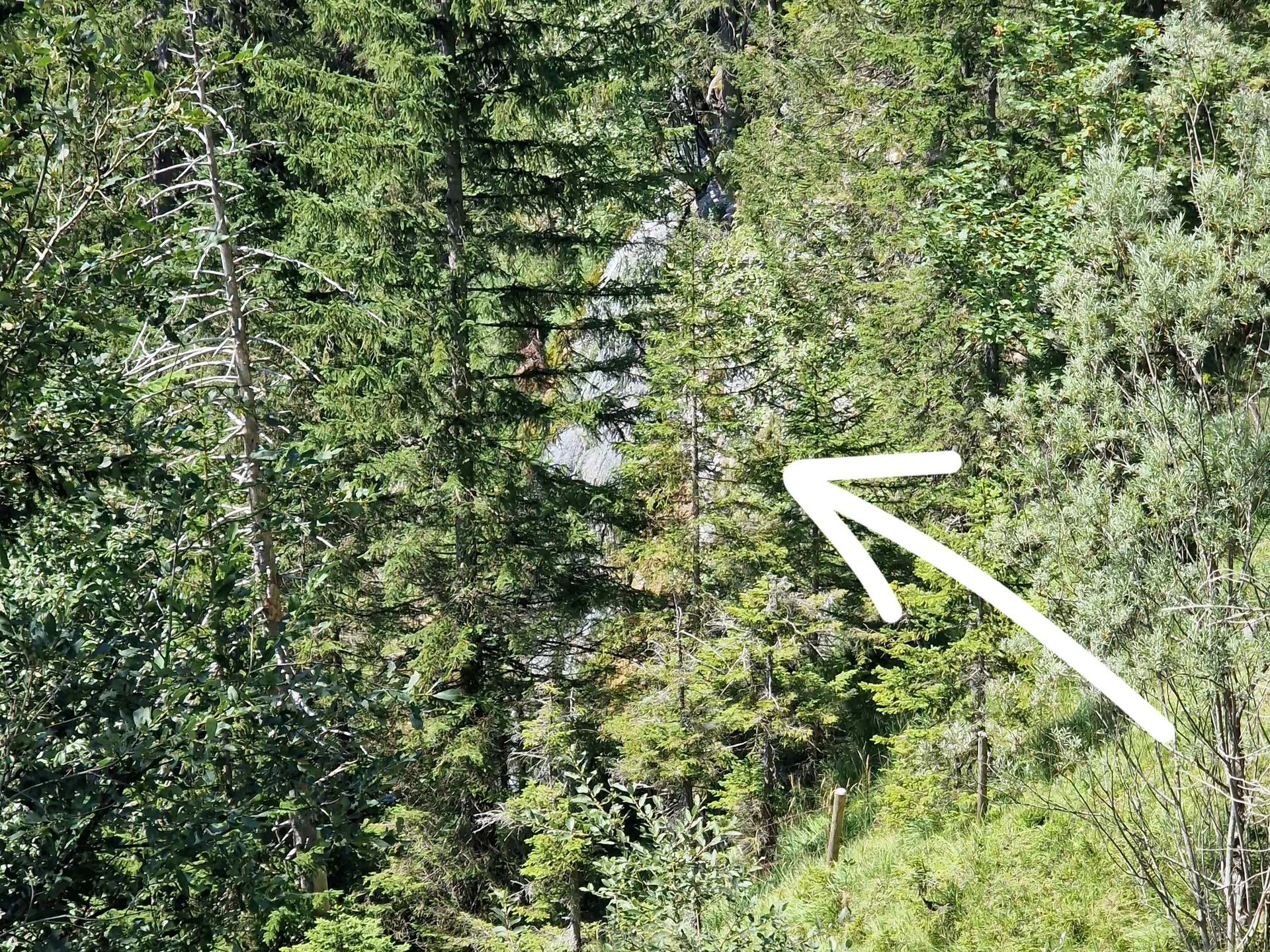 © (DAV Gangkofen) Arzmoos Wasserfall im August