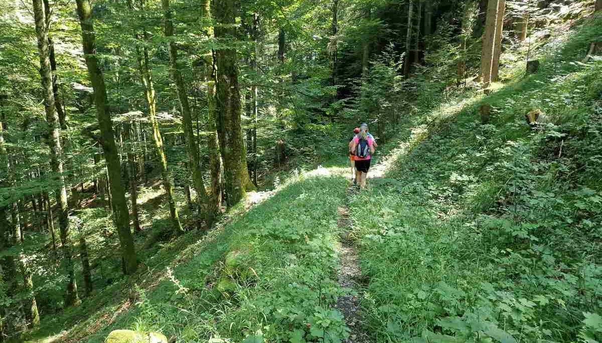 © (DAV Gangkofen) Ein „vergessener“ Pfad