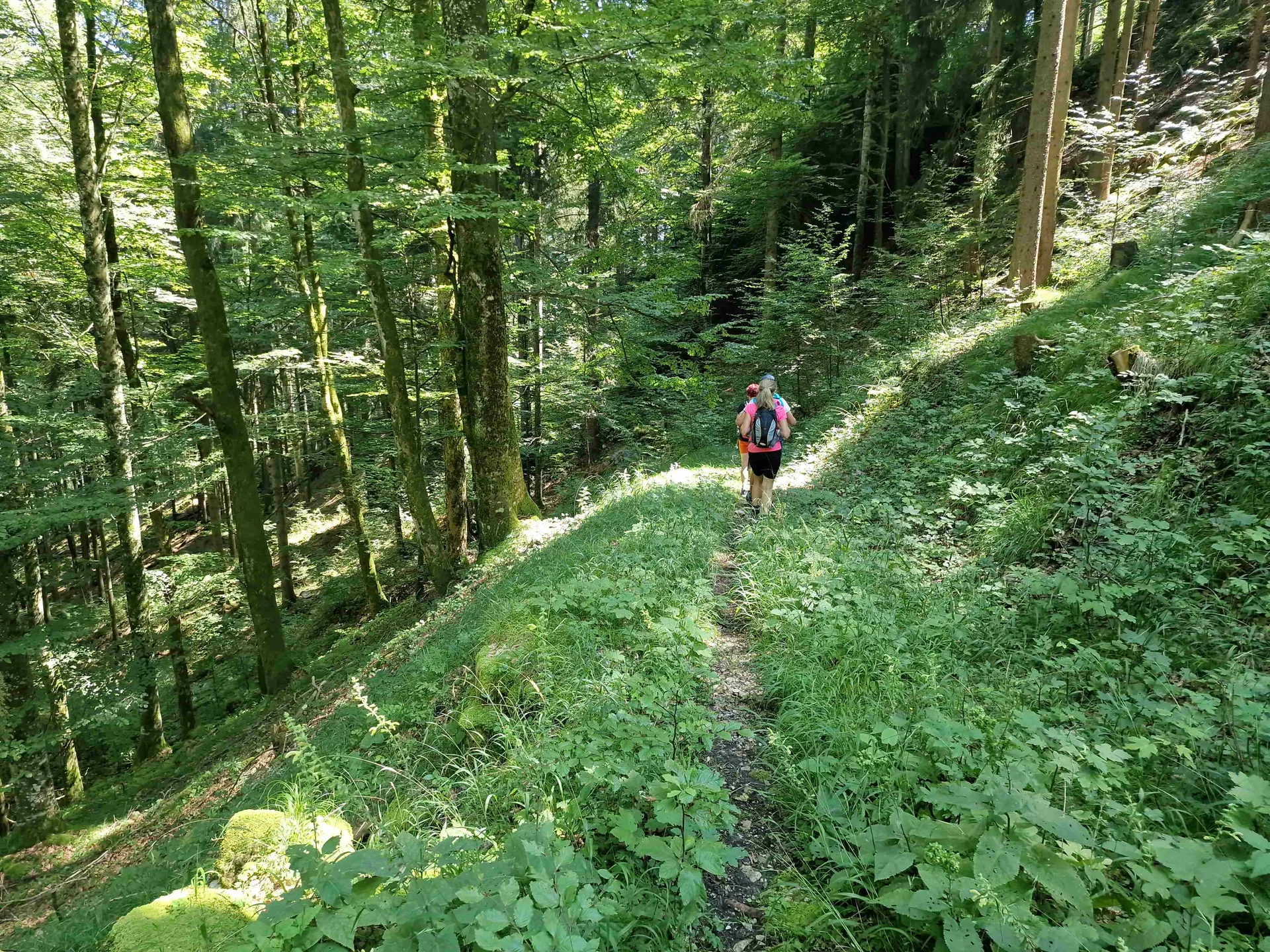 © (DAV Gangkofen) Ein „vergessener“ Pfad