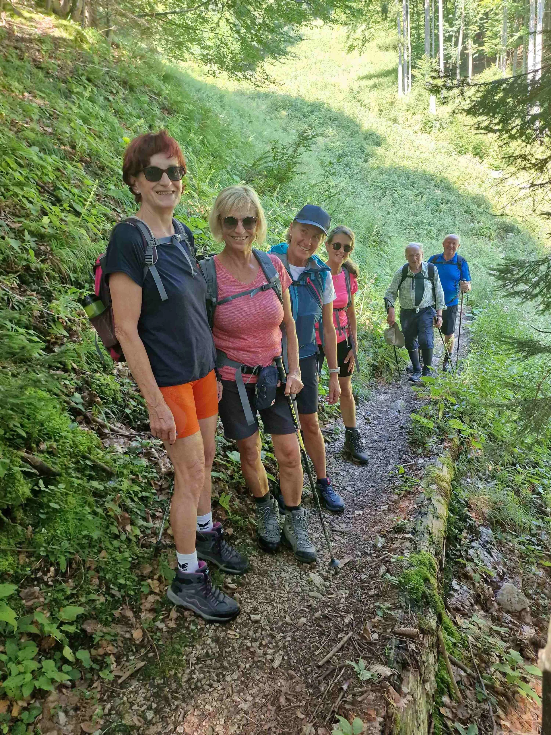 © (DAV Gangkofen) Übergang zum Arzmoos nach kurzem Abstieg von der Mitteralm