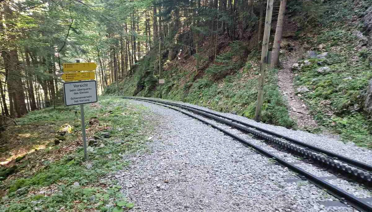 © (DAV Gangkofen) Querung der Zahnradbahn auf dem Weg Richtung Arzmoos