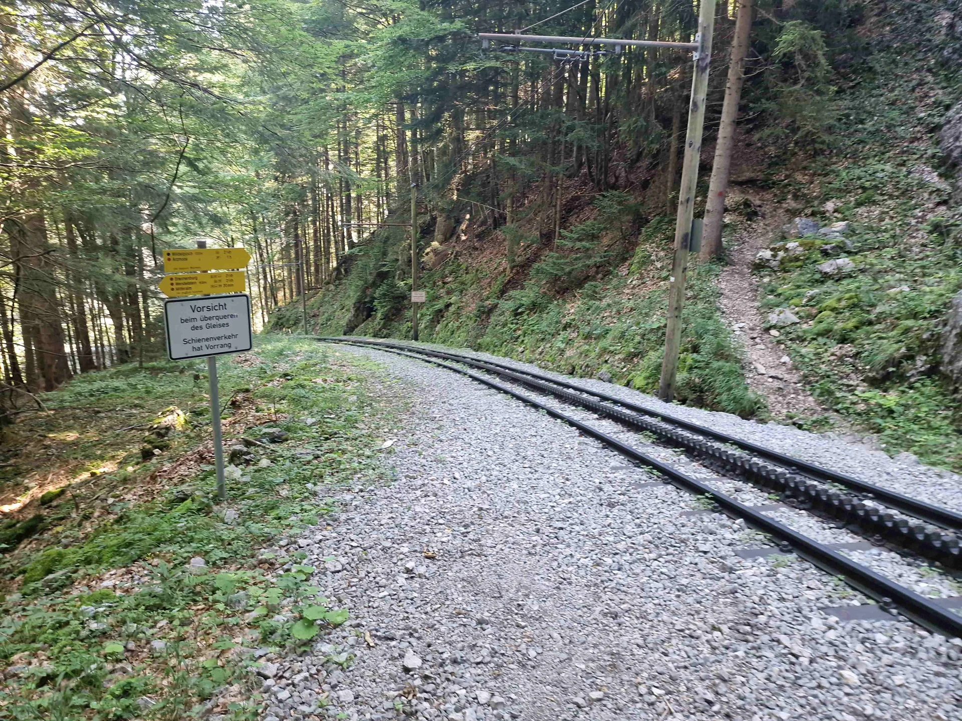 © (DAV Gangkofen) Querung der Zahnradbahn auf dem Weg Richtung Arzmoos