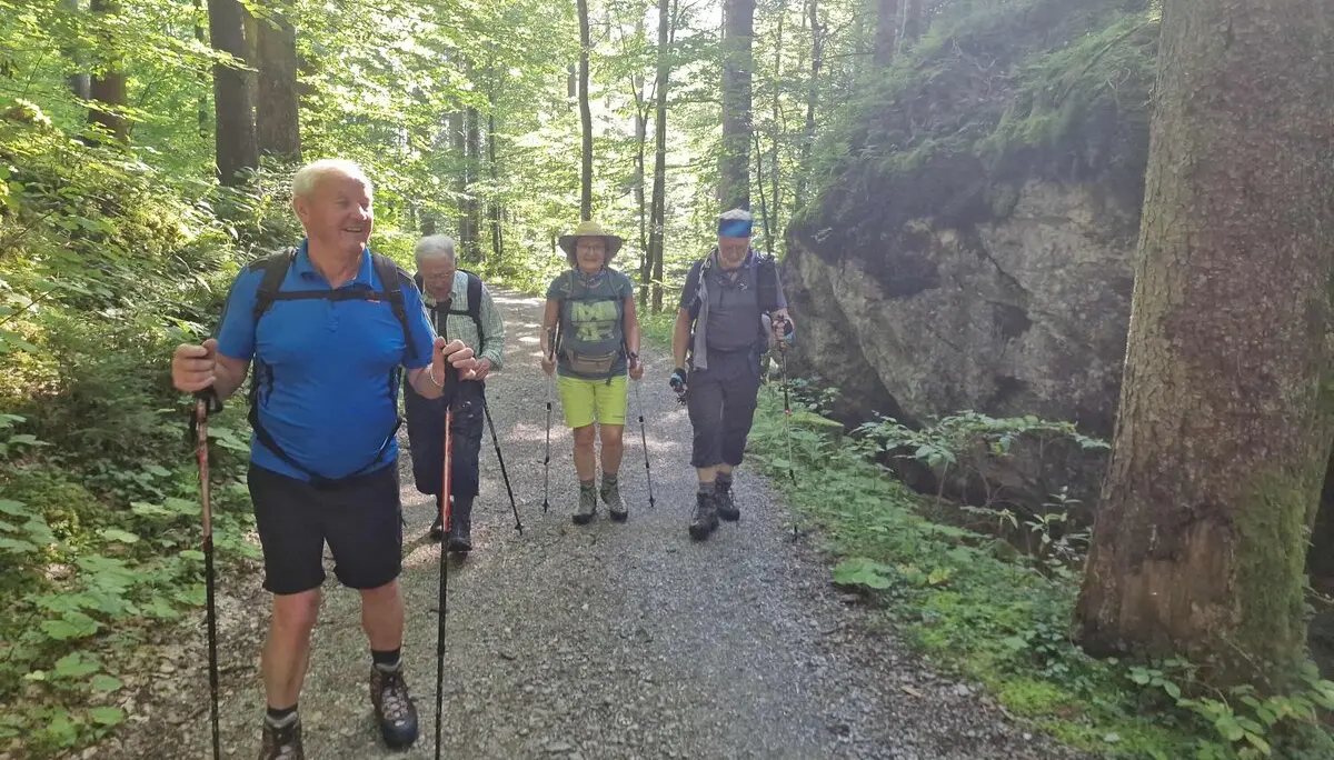 © (DAV Gangkofen) Aufstieg im schattigen Wald
