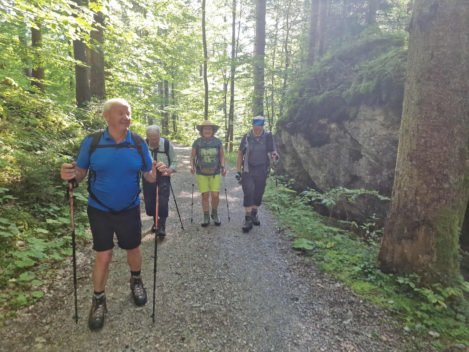 © (DAV Gangkofen) Aufstieg im schattigen Wald