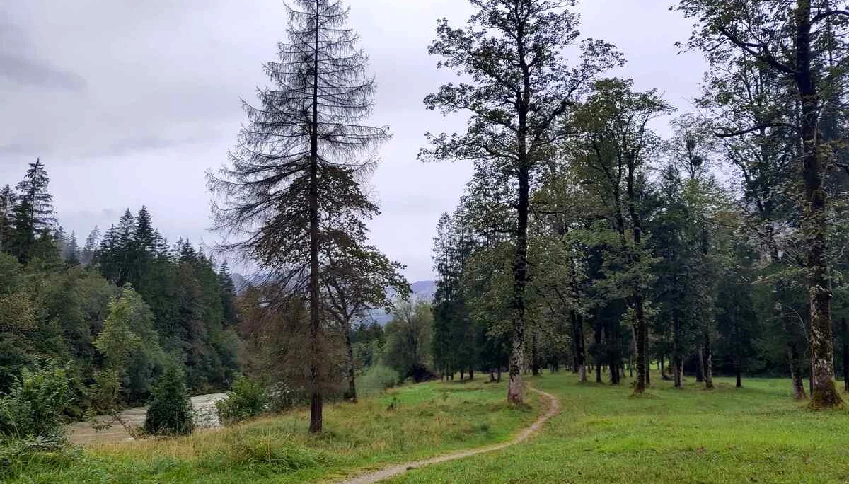 © (Anastasia Landendinger) Saalach-Ufer