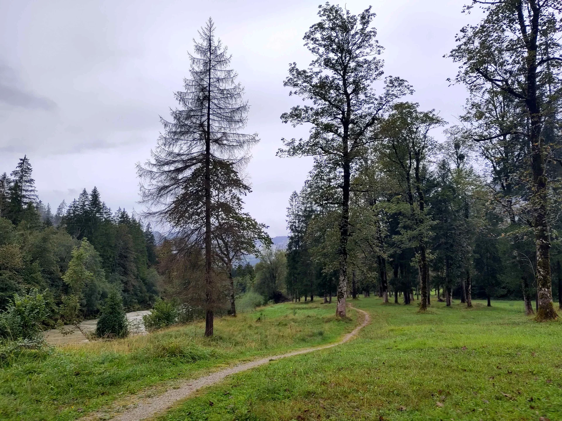 © (Anastasia Landendinger) Saalach-Ufer