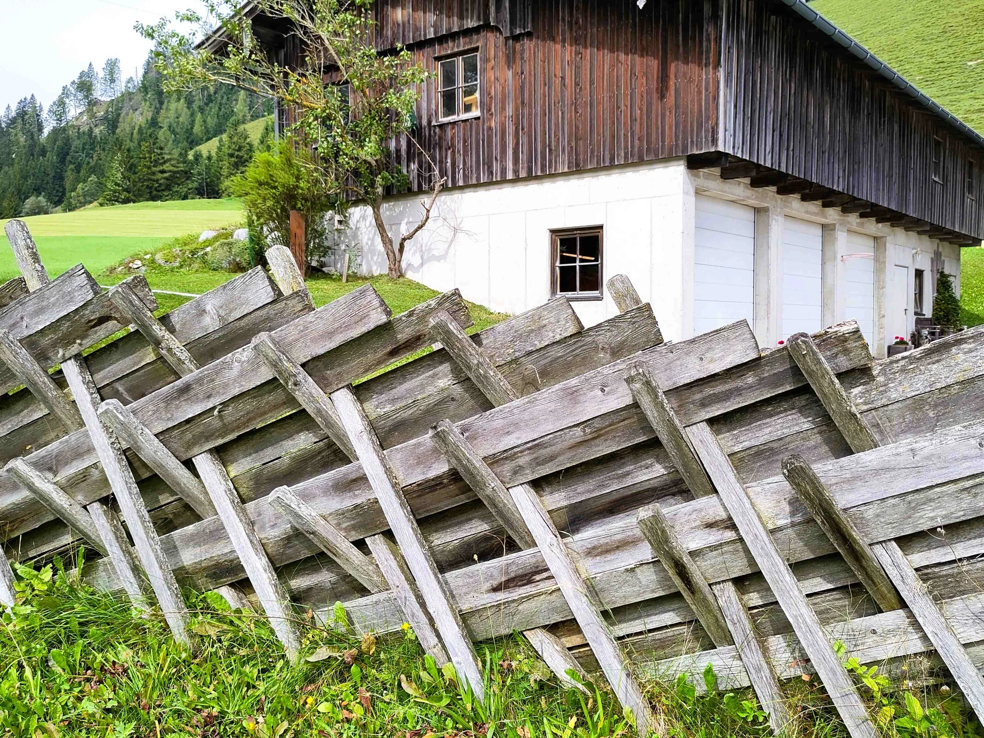 © (Anastasia Landendinger)  eingezäunt