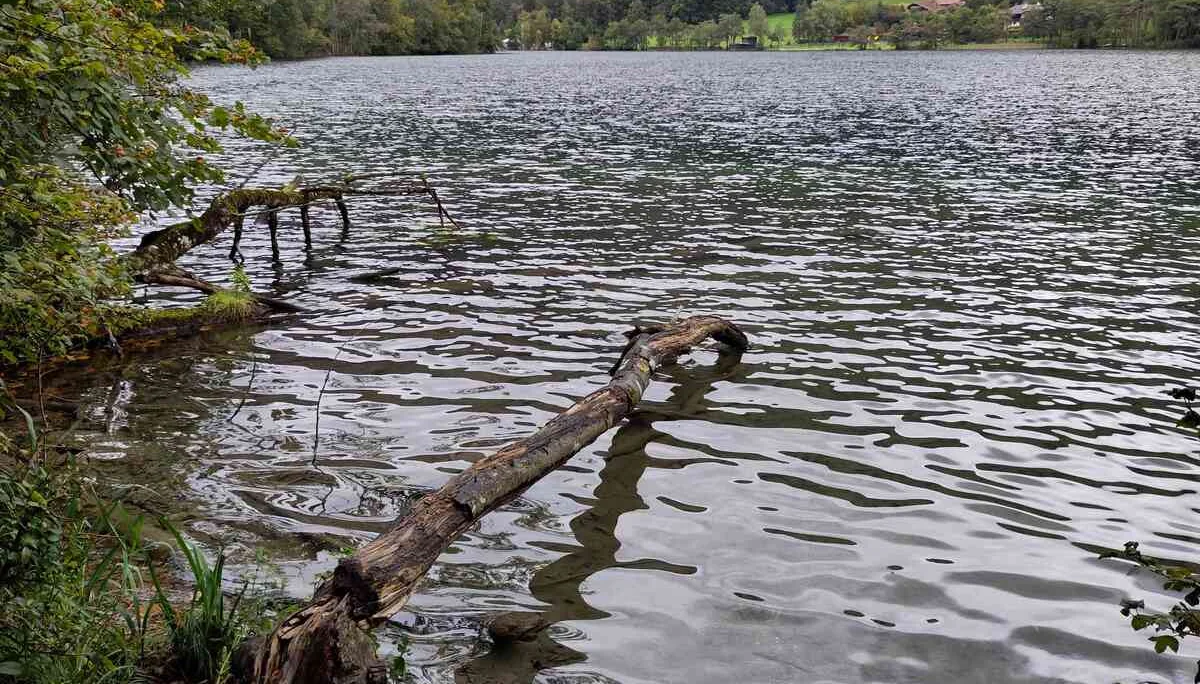 © (Anastasia Landendinger) Thumsee