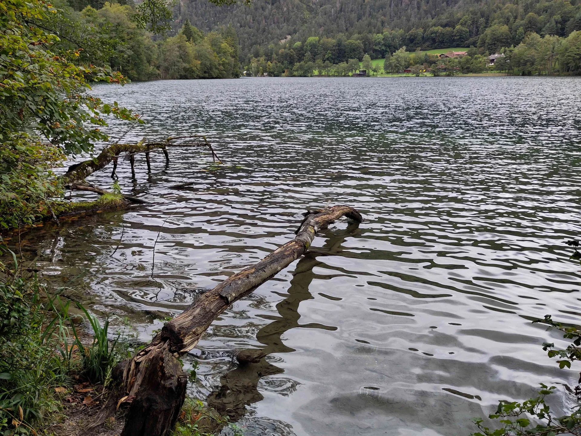 © (Anastasia Landendinger) Thumsee