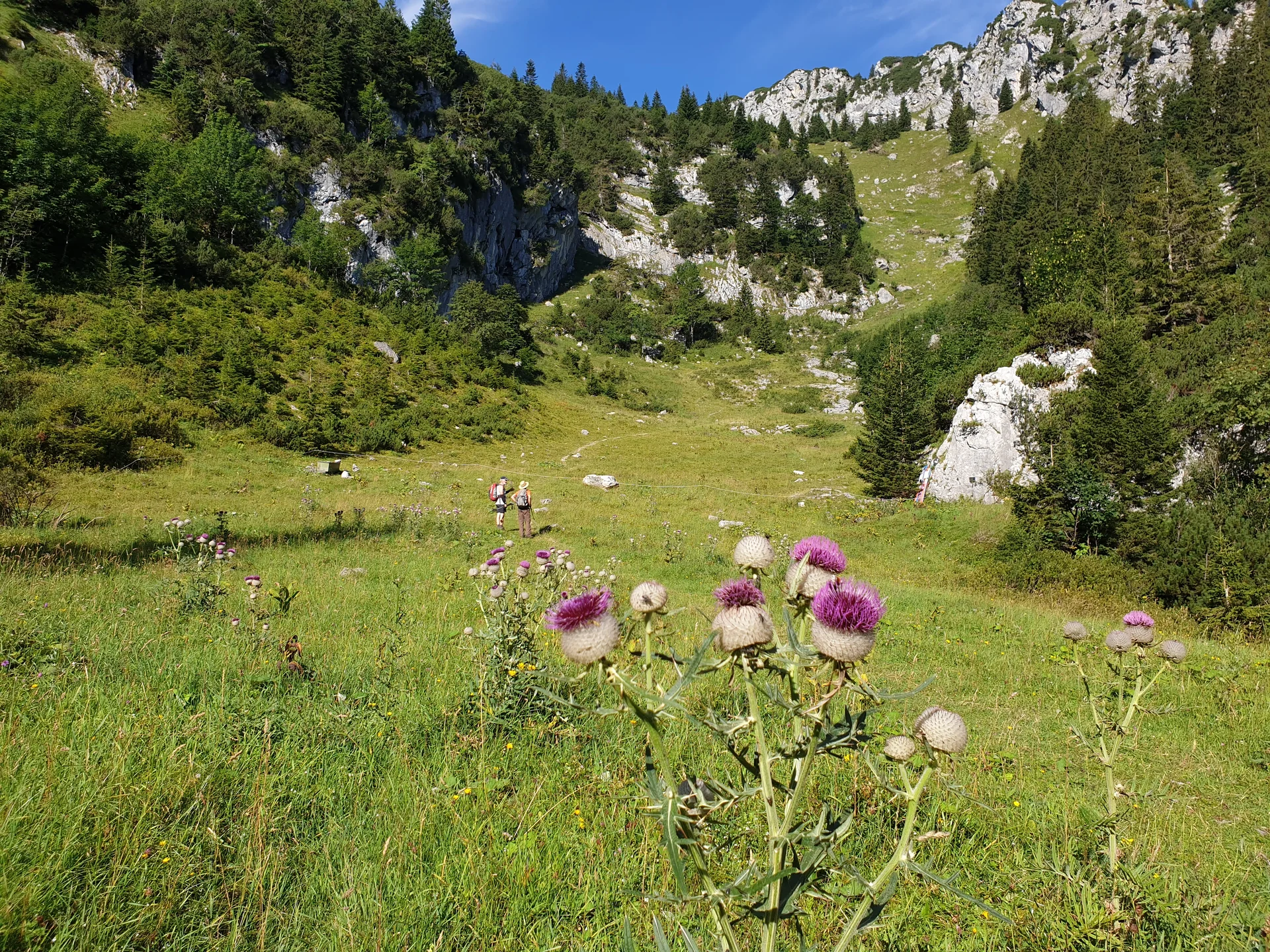 © DAV Gangkofen