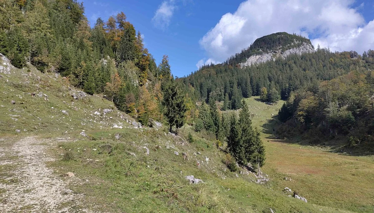 © DAV Gangkofen: Blick zur Rudersburg