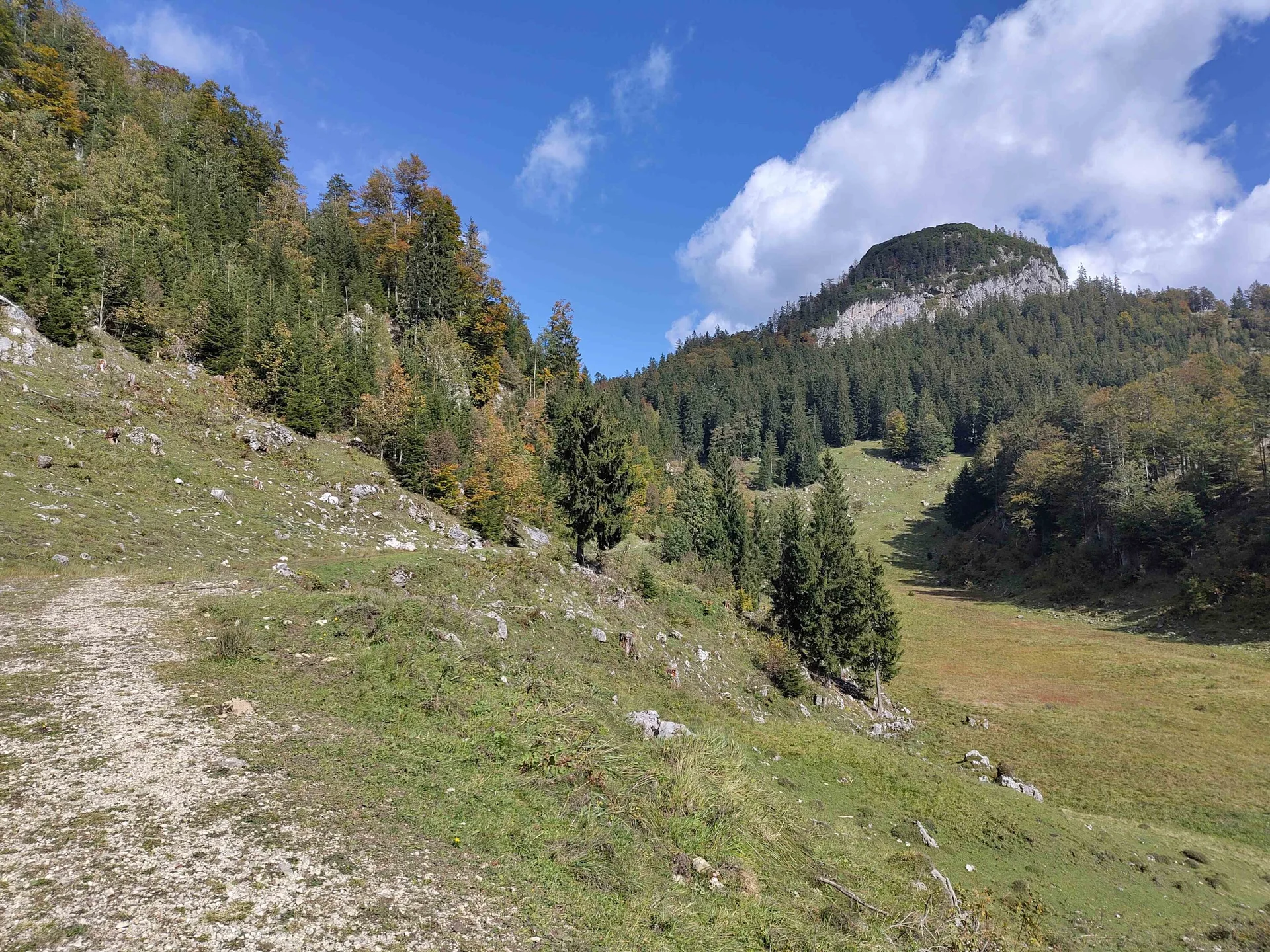 © DAV Gangkofen: Blick zur Rudersburg