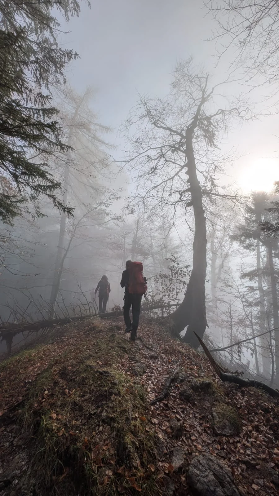 © (DAV-Gangkofen) -