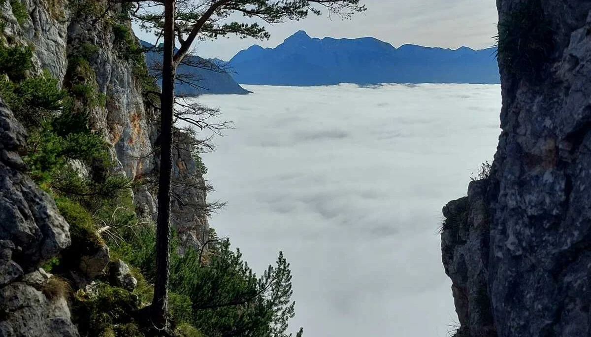 © (DAV-Gangkofen) -