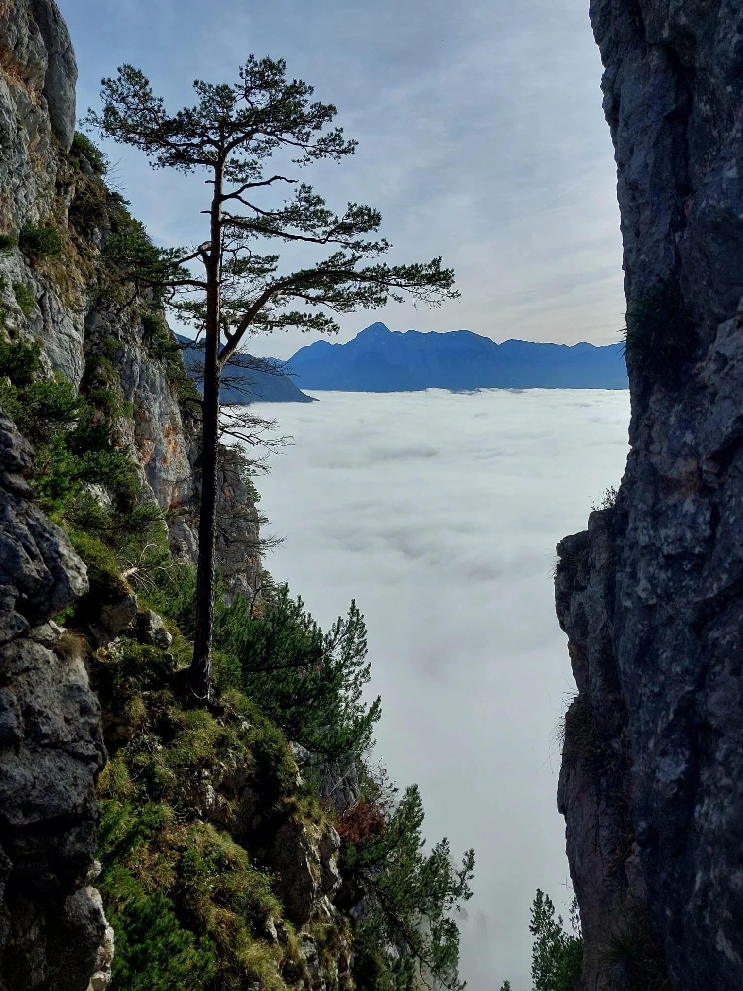 © (DAV-Gangkofen) -