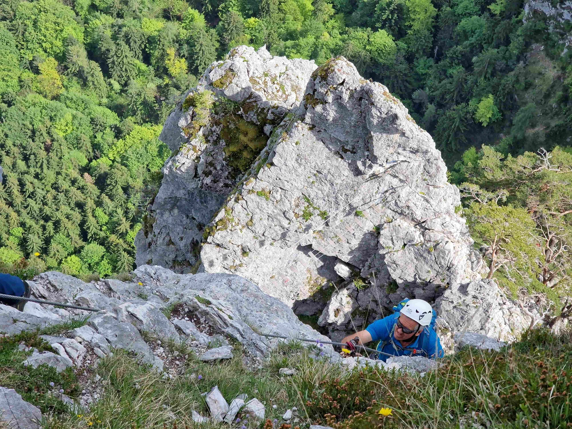 © (DAV Gangkofen) Hier gibt es kein Edelweiß – auch wenn es der Bewuchs nicht erahnen lässt, eine der schwereren Kletterstellen