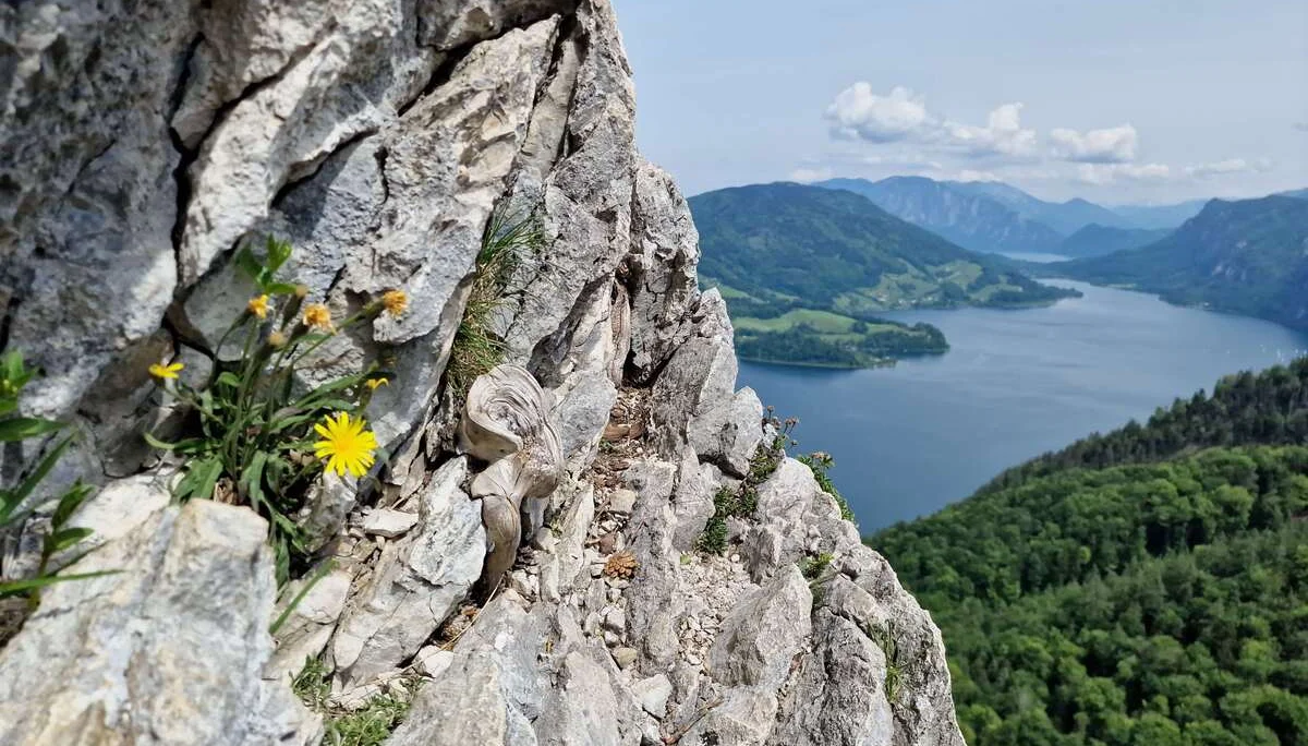 © (DAV Gangkofen) Blick Richtung Mondsee