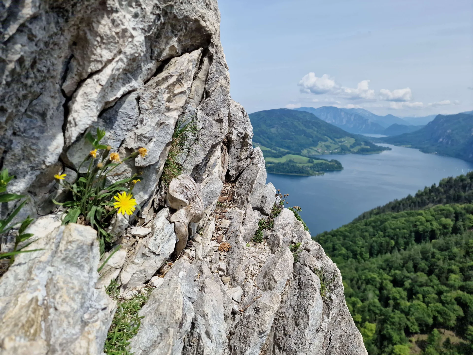 © (DAV Gangkofen) Blick Richtung Mondsee