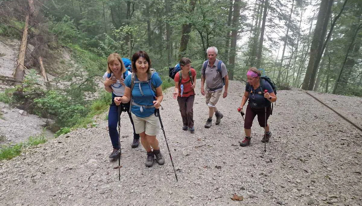 © (DAV Gangkofen)  Steiler Aufstieg auf dem zwischenzeitlich wieder hergestellten Forstweg