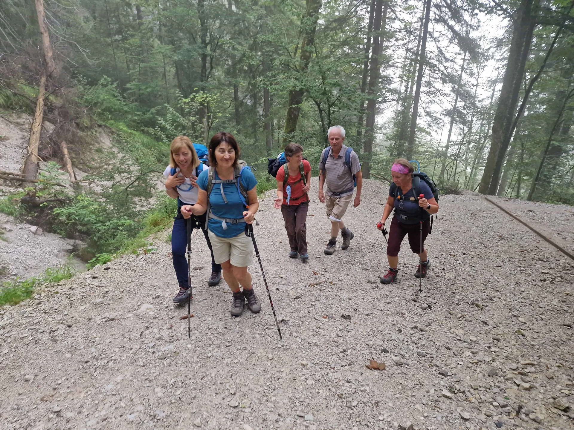 © (DAV Gangkofen)  Steiler Aufstieg auf dem zwischenzeitlich wieder hergestellten Forstweg