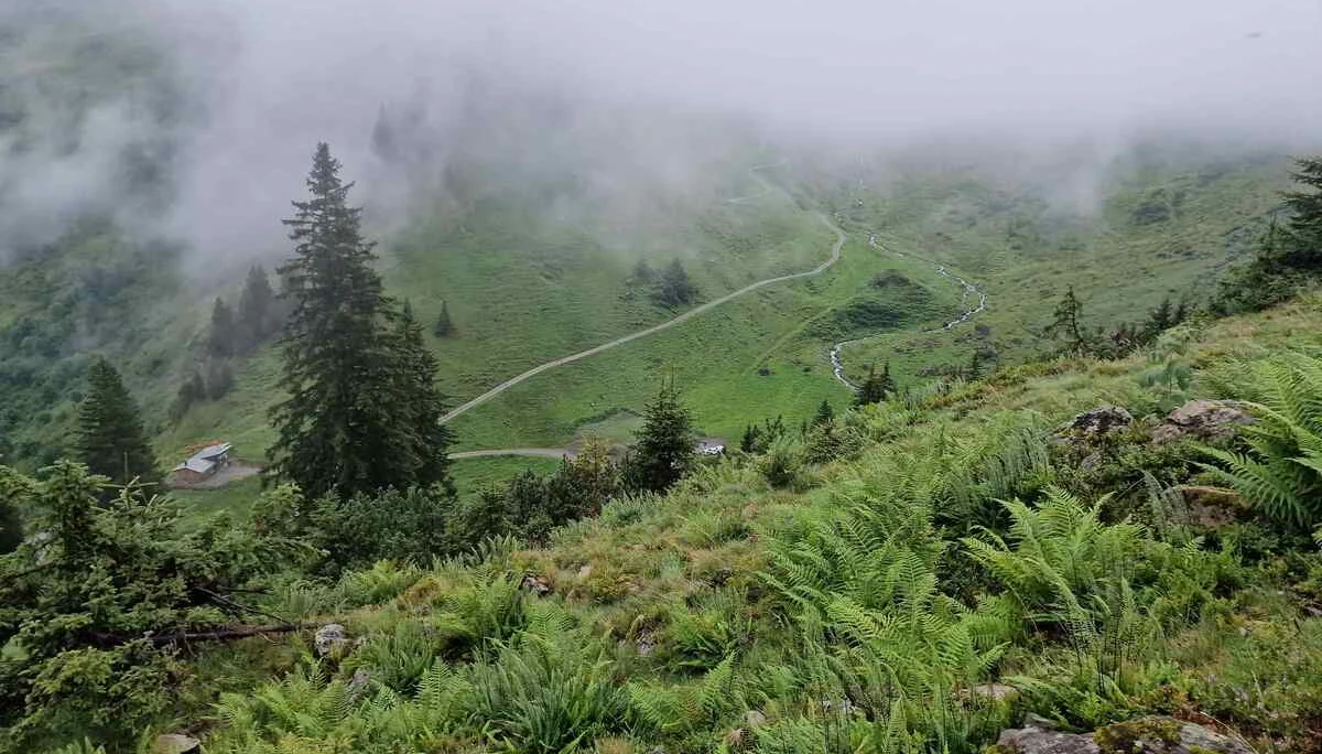 © „Abstieg über den Walserweg“ - Martin Götz