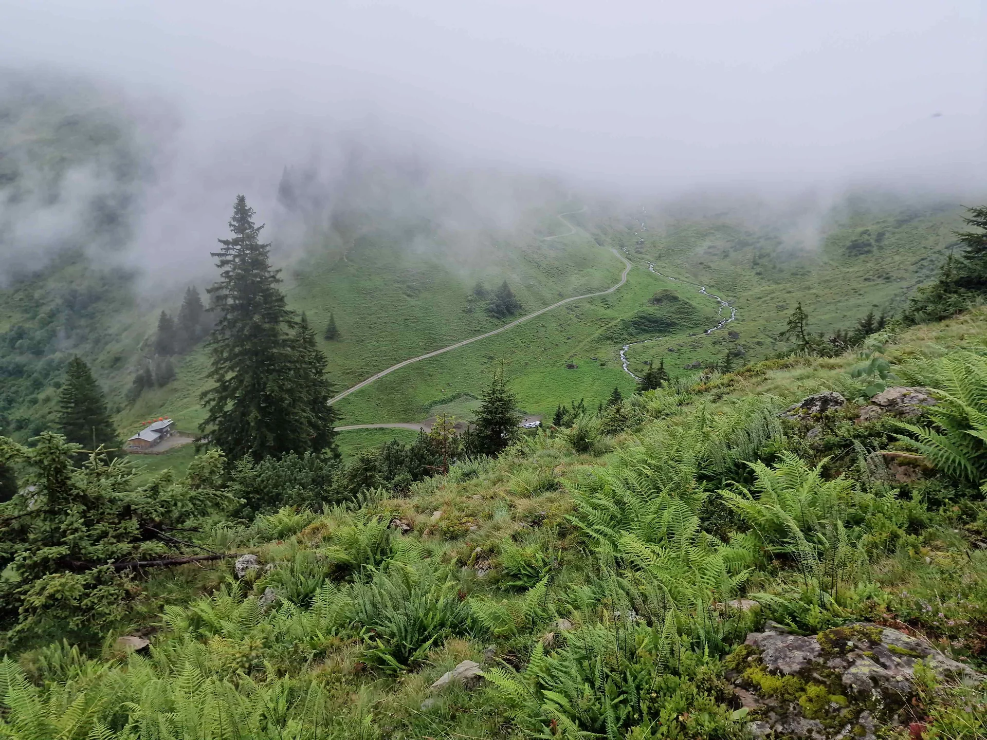 © „Abstieg über den Walserweg“ - Martin Götz