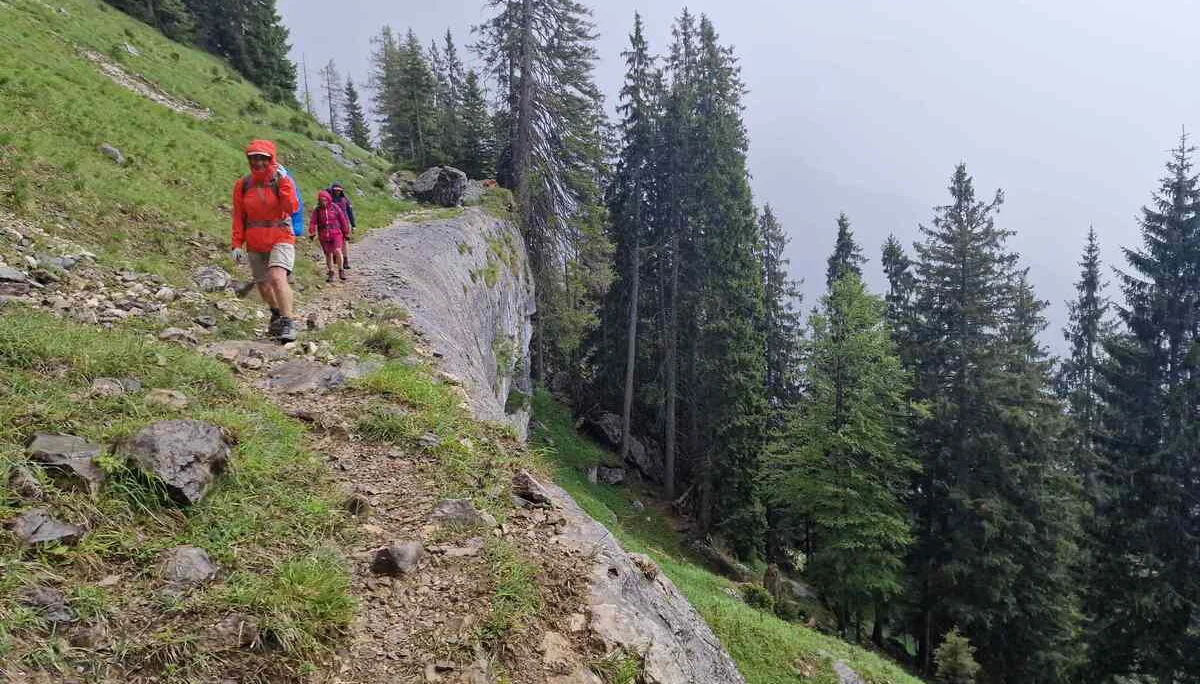 © (Martin Götz) Der fast horizontal verlaufende Rückweg, leider im leichten Regenschauer