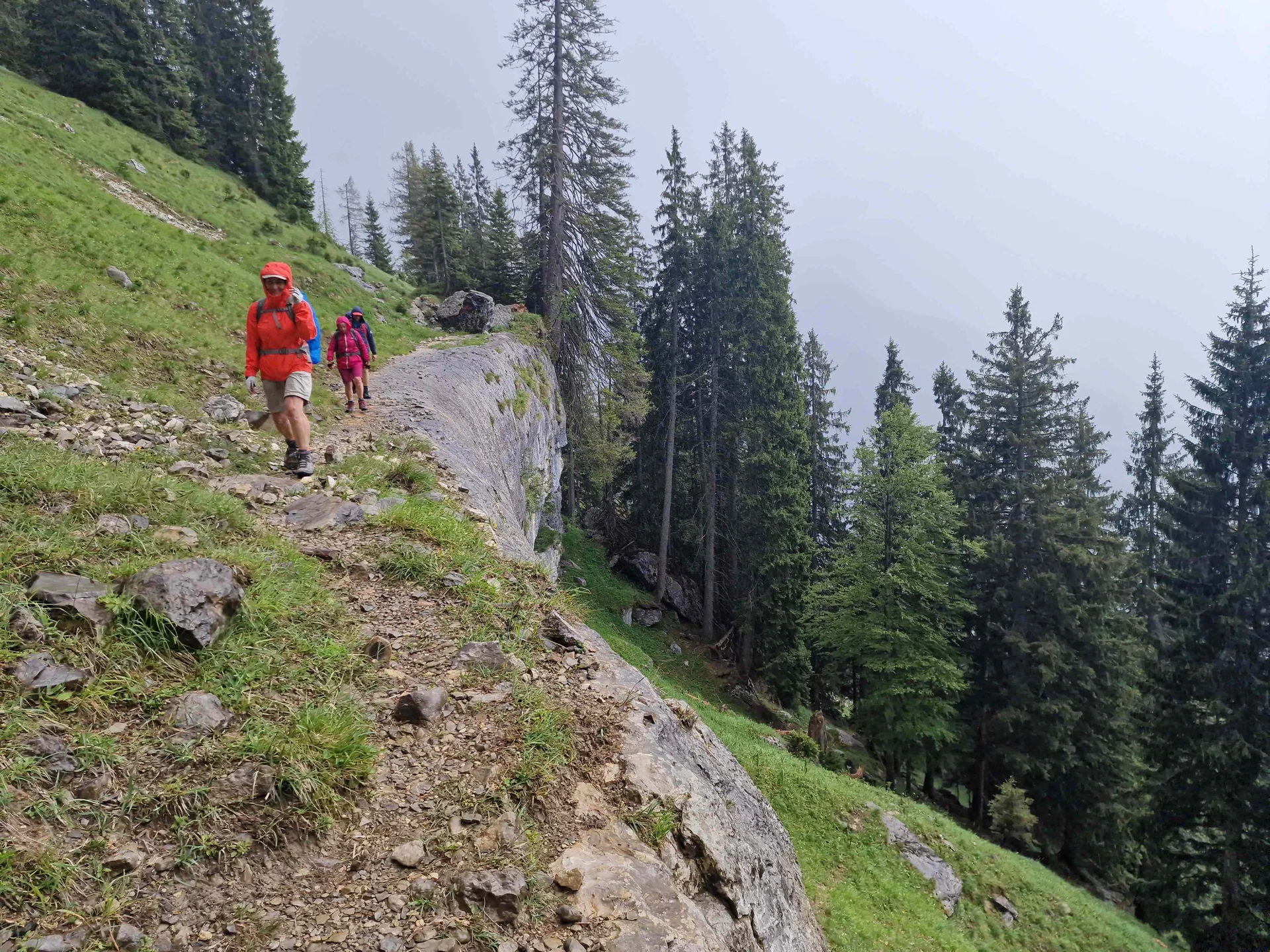 © (Martin Götz) Der fast horizontal verlaufende Rückweg, leider im leichten Regenschauer