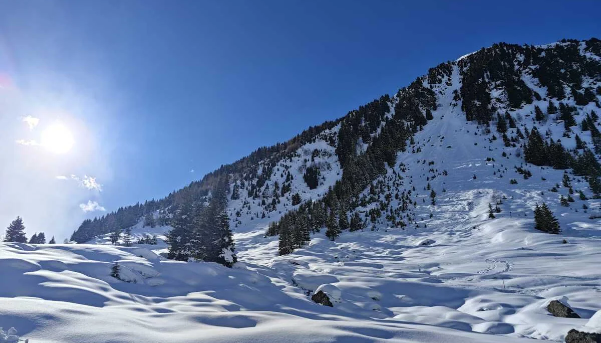© Andrea Stamberger (Statt heute in der Sonne die Schneelandschaft zu genießen, standen wir im Dauerschatten und gaben uns dem Eishacken hin)